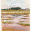 Marsh II