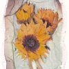 Sunflower Image Lift