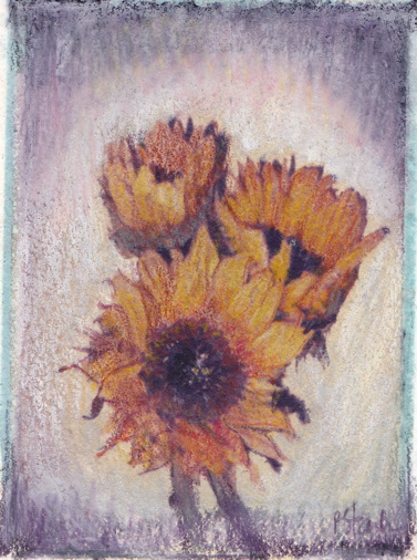 image transfer of sunflowers